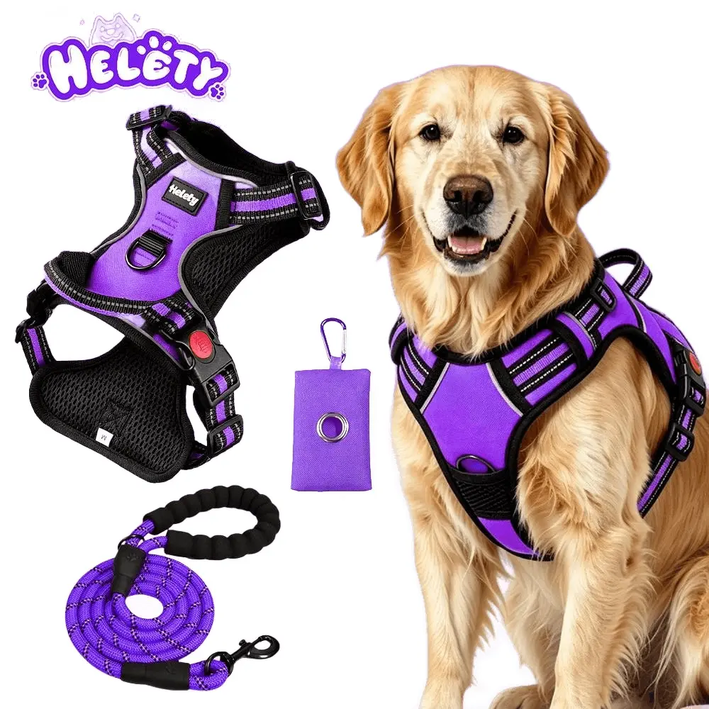 HELETY 3-in-1 No-Pull Dog Vest Harness & Leash Set, Adjustable S-XL Sizes, Dual Front & Back D-Ring Clips, 360° 3M Reflective, Padded Chest, Oxford Fabric, Night Safety, Built-In Poop Bag Holder, Tangle-Free Cooling Step-Design Strap running bungee sohoch