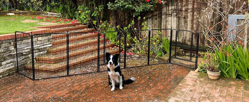 FXW Garden Fence Outdoor for The Yard, 24"/32"/40"/45" Height x 7.6-15.2ft Length, Heavy Duty Metal Animal Barrier for Dog and Rabbit, Decorative Dog Fence, 4/6/8 Panels FXW Garden Fence Outdoor for The Yard, 24"/32"/40"/45" Height x 7.6-15.2ft Length, Heavy Duty Metal Animal Barrier for Dog and Rabbit, Decorative Dog Fence, 4/6/8 Panels