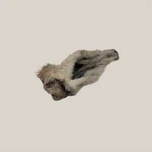 Lamb Ear - Whole with Fur - Natural Dog Chew