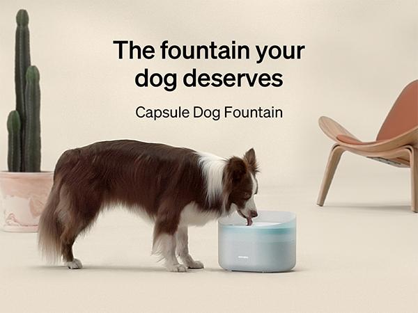 PETLIBRO Dog Water Fountain: 2.1Gal automatic dispenser for medium to large dogs, anti-splash design, ultra-quiet, and easy to clean PETLIBRO Dog Water Fountain: 2.1Gal automatic dispenser for medium to large dogs, anti-splash design, ultra-quiet, and easy to clean