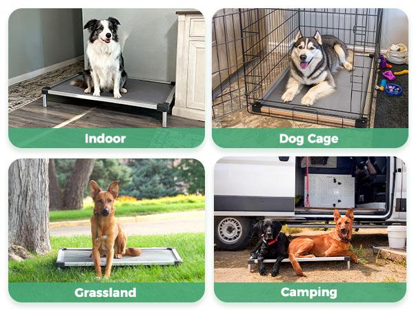 FXW TitanNest Chew-Proof Elevated Dog Bed, Raised Cot for Indoor/Outdoor/Camping Use, Durable & Washable Padded Pet Bed for Large Dogs，Black/Gray