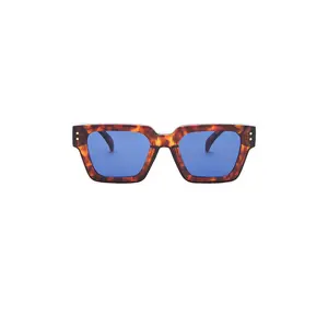 AIRE Transit Sunglasses in Rich Amber Tort & Navy Mono
