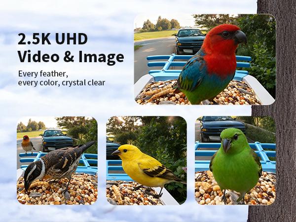 Smart Bird Feeder with Camera Series – AI-Powered, Solar, 2K/2.5K HD, Auto-Bird ID, Motion Alerts, Perfect Gift for Bird Lovers Smart Bird Feeder with Camera Series – AI-Powered, Solar, 2K/2.5K HD, Auto-Bird ID, Motion Alerts, Perfect Gift for Bird Lovers