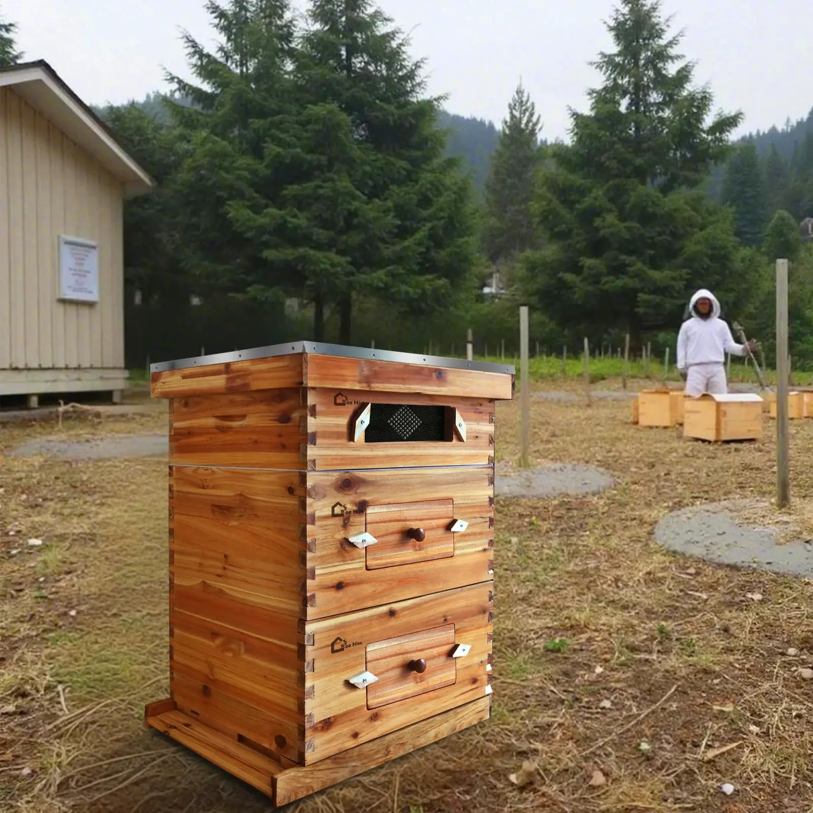 Garvee 10-Frame Langstroth Beehive Kit - Cedarwood Hive Starter Set, Observation Window - 2 Deep Brood Boxes + 1 Medium Super - Beeswax-Coated Frames & Wax Foundations
