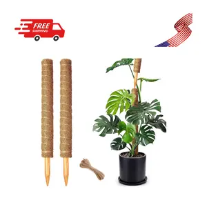 2 Pack 21 Inch Moss Poles, Stackable for Plants Monstera, 37 Inch Tall