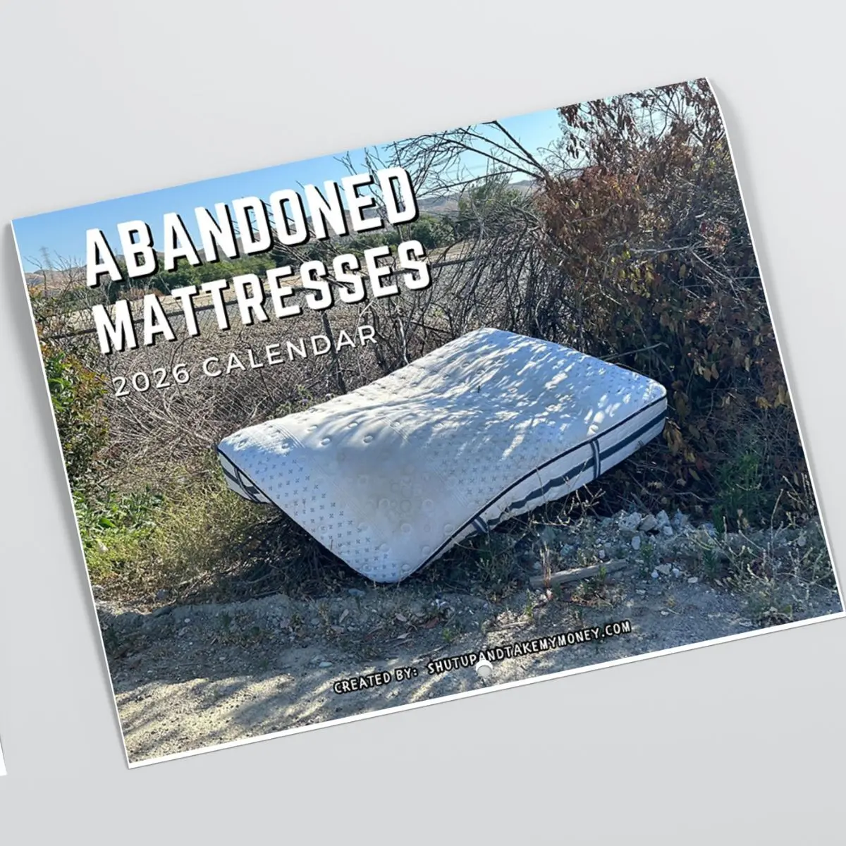 White Elephant Gag Gift 2026 Calendar - Abandoned Mattresses