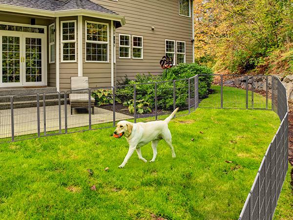 FXW Aster Dog Playpen Designed for Yard, 24"/32"/40 Height, 8/16 Panels