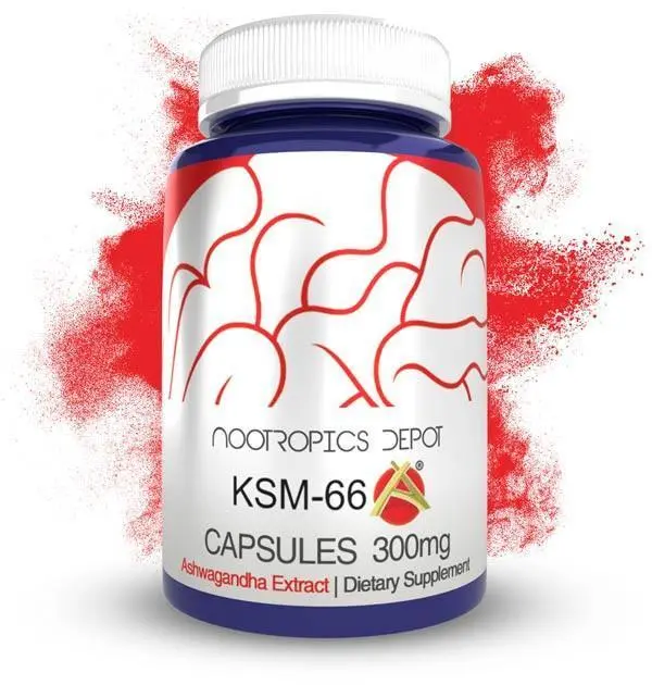 KSM-66 Capsules | Ashwagandha Root
