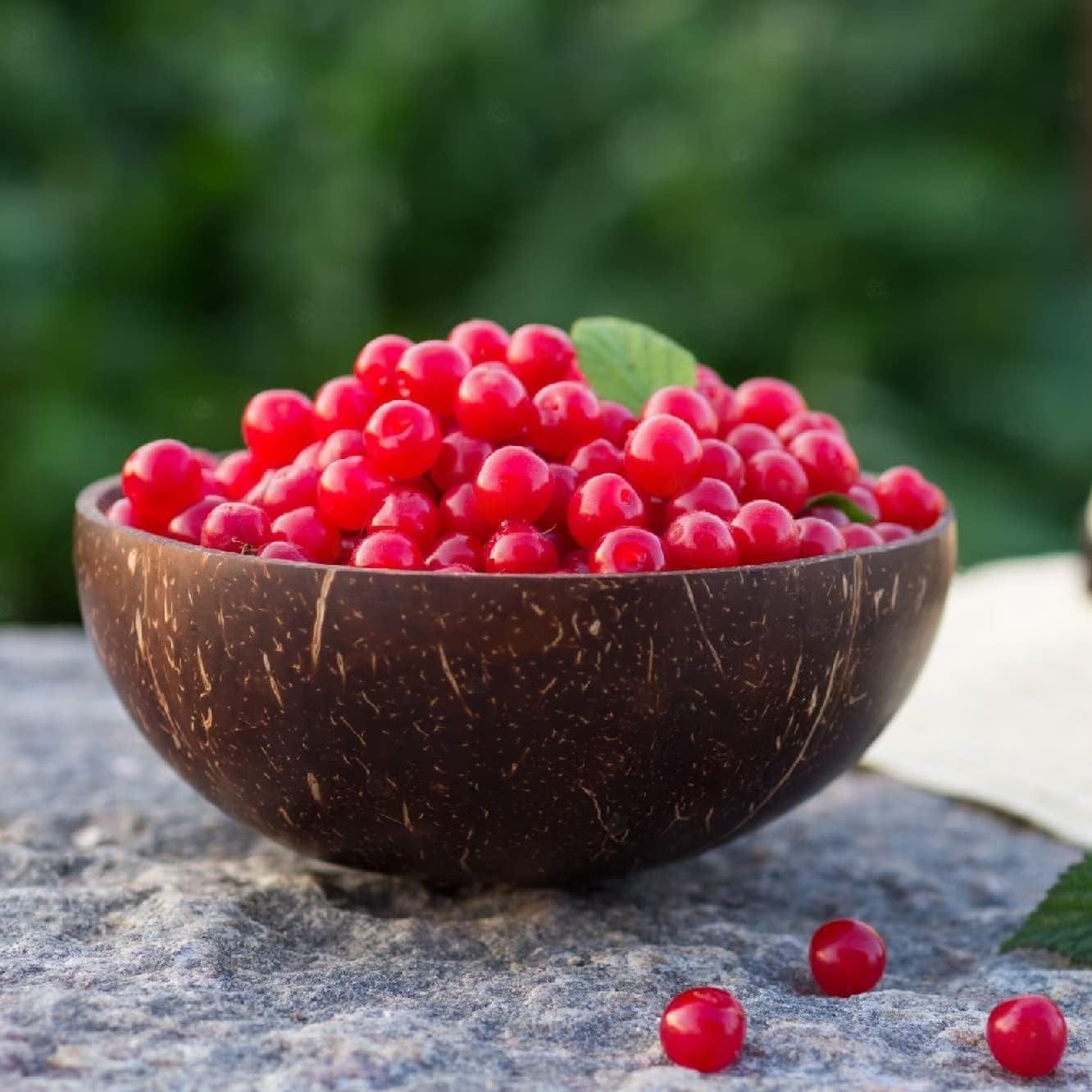 Cherry Seeds for Garden Planting, Fruit  Seeds Suitable for Outdoor Yards and Home Gardens, Potted or Ground Growing