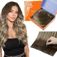 #3/8/22 Balayage Dark Brown to Ash Brown