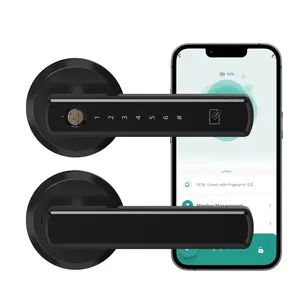 Smart Biometric Door Handle – Fingerprint, App & Passcode Entry