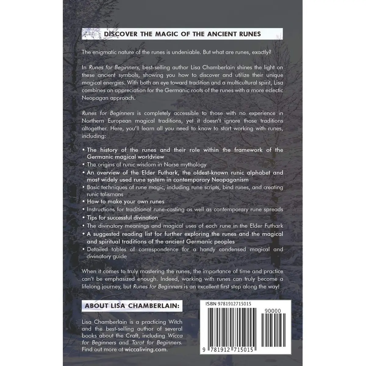 Runes for Beginners: A Guide to Reading Runes in Divination, Rune Magic ...