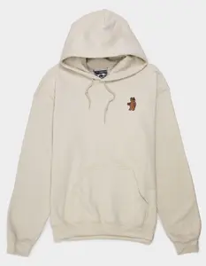 RIOT SOCIETY Bear Embroidered Mens Hoodie