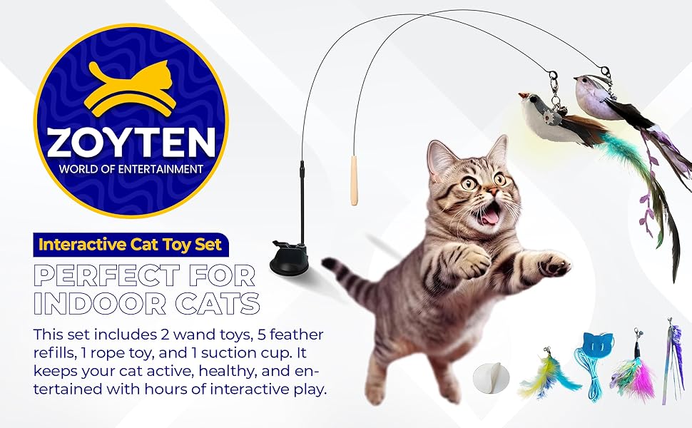 Cat Toy Wand Auto Interactive Toys for Indoor Cat 10 in 1 Hands-Free Natural Bird Feather Ball Toys, Suction Cup Pet Dancing Playing Toy