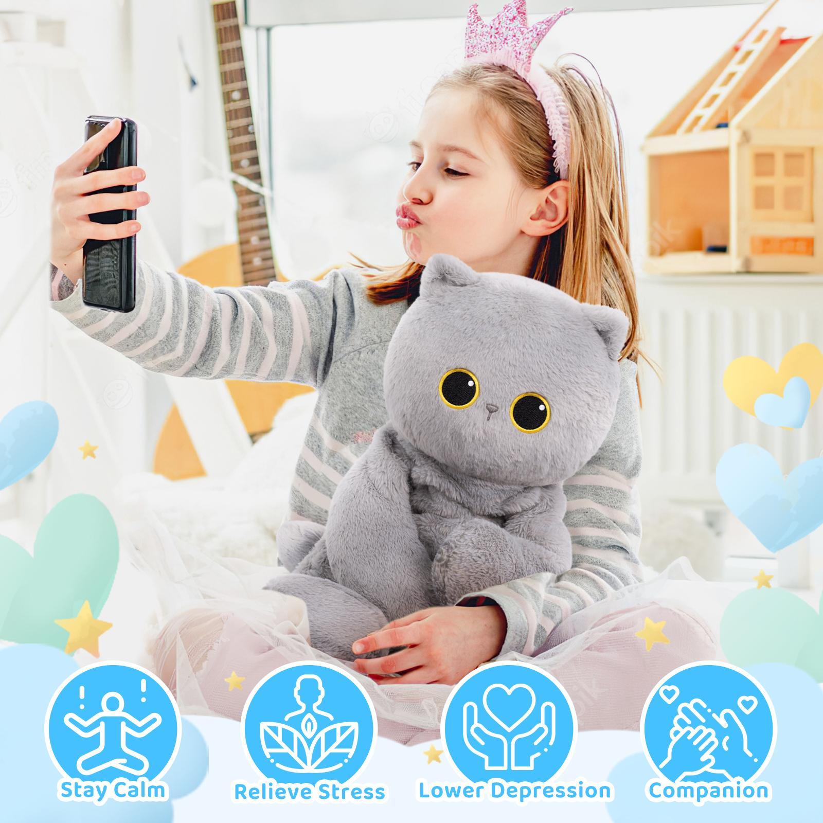 Mewaii weighted Stuffed Animals, 4 Lbs Customizable Gray cat Stuffed Animal Up to 5 Lbs, Stuffed Sloth Plush for Stress Relief, Ideal Birthday Gifts Halloween Christmas Gift for Girls Boys