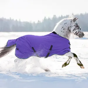 Pony Midweight 180g Horse Winter Turnout Blanket - Waterproof & Breathable