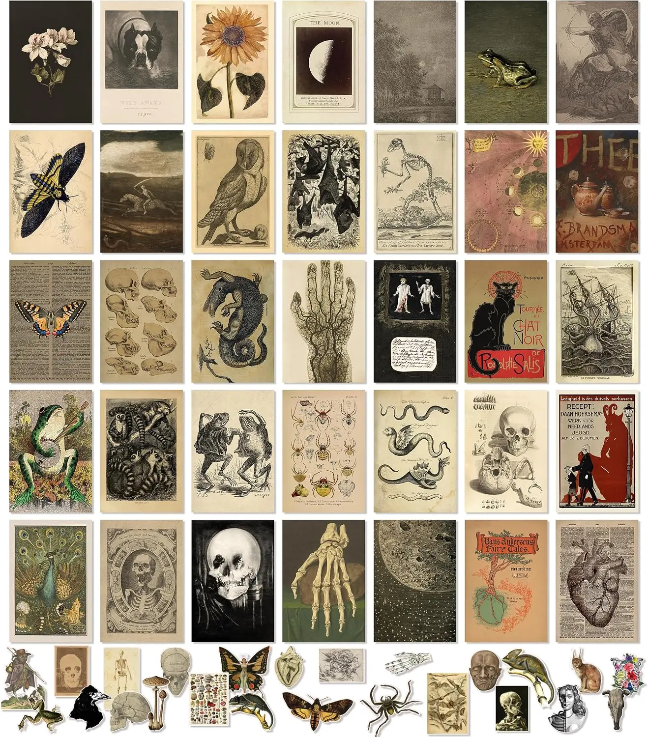 97 Decor Gothic Vintage Wall Collage Set, 35-Piece 4x6 in Cardstock Minis, Earthy Forest & Animal Prints, Cottagecore Home Decor for Bedroom Gallery Wall