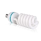 VINGLI Photography Lighting, 6.5ft x 10ft Backdrop Stand and Umbrellas Continuous Lighting Kit for Photo Studio Product, Portrait and Video Shoot Photography