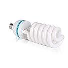 VINGLI Photography Lighting, 6.5ft x 10ft Backdrop Stand and Umbrellas Continuous Lighting Kit for Photo Studio Product, Portrait and Video Shoot Photography