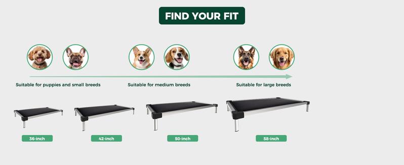 FXW TitanNest Chew Proof Elevated Dog Bed for Chewers, Dog Cot for Outdoor & Indoor, Padded dog bed dog beds FXW TitanNest Chew Proof Elevated Dog Bed for Chewers, Dog Cot for Outdoor & Indoor, Padded dog bed dog beds