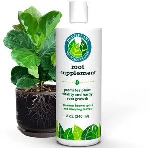 Root Rot Repair - Recovery Drops Supplement | 8 oz