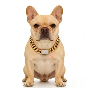 【G2】14MM Cuban Link Dog Collar Chain, Heavy Duty Chew-Proof 18K Gold Plated Dog Chain Necklace, Custom Letter Lock, 10–30 Inch diamond cat catchain big breed Puppy Collar with Pendant