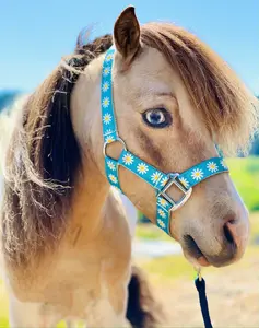 Star Point Printed Halter - Mini, Pony & Horse Size