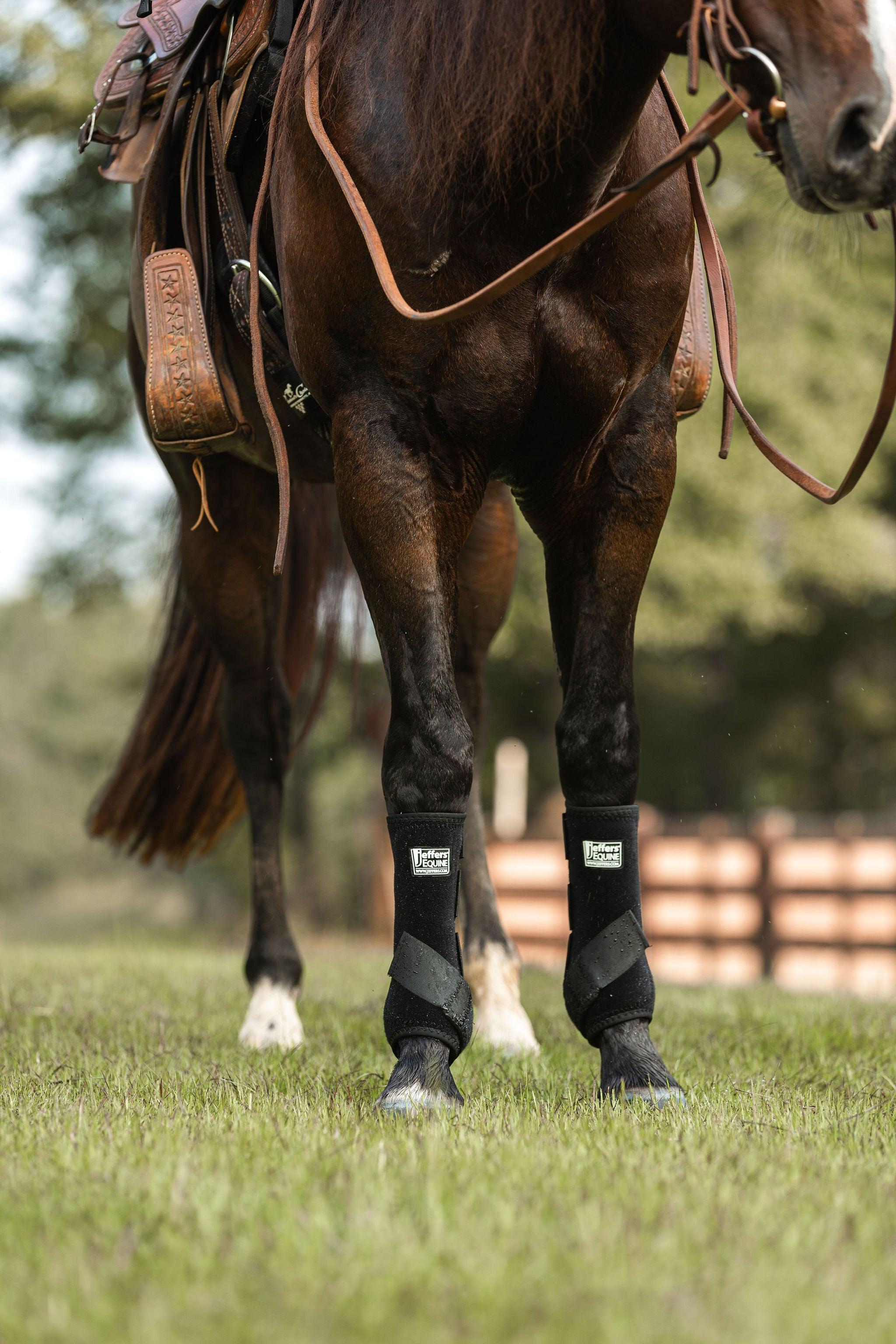 Jeffers Expression Protective Boots for Horses