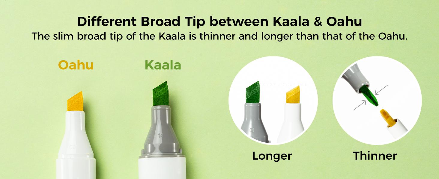 Ohuhu Alcohol Markers: Fine & Slim Broad Chisel Dual Tips - 108 Basic Colors - Alcohol-based Refillable Art Markers for Artist Adult Coloring Book Illustration Drawing Manga 108 Set - Kaala Series of Ohuhuart