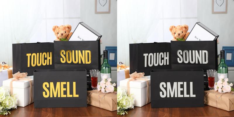 Valentines 5 senses Gift Bags for Her Sight Smell Touch Taste Sound Goodie Bags with Handles Tissue Paper,Birthday Party Gift Idea,Present Wrappings for Girlfriend Couple,Galentine's Day Mother's Day Birthday Wedding Party Gift,Valentine Gift Exchange