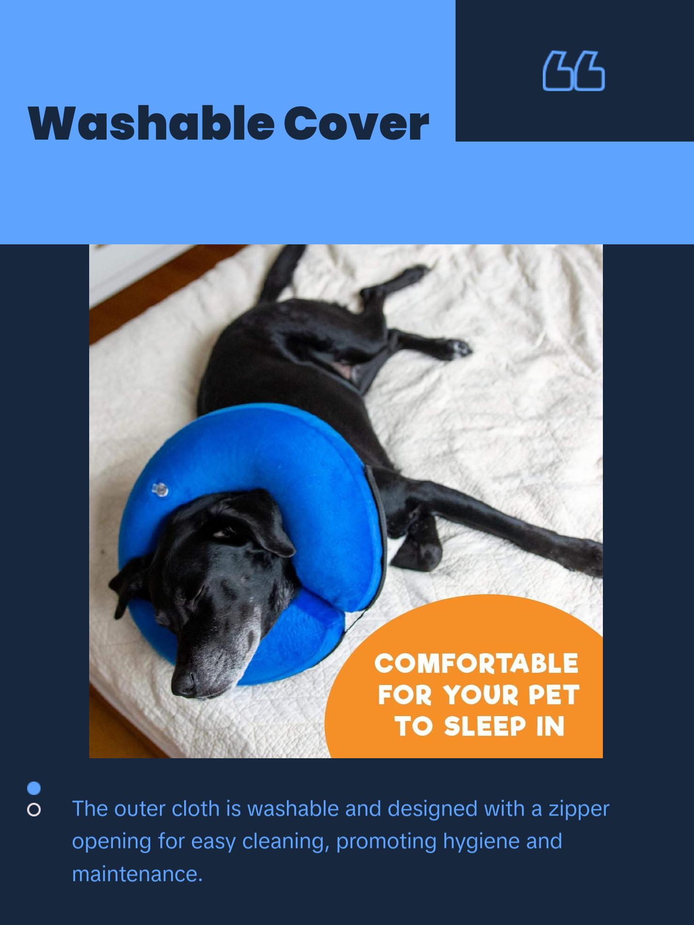 Protective Inflatable Collar for Dogs and Cats - Soft Pet Recovery Collar (Large, Blue)