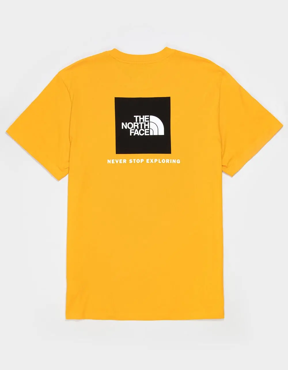 THE NORTH FACE Box NSE Mens Tee
