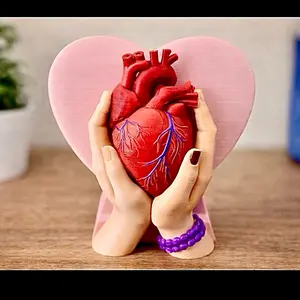My Heart in Your Hands” Anatomical Heart Sculpture | Meaningful Love & Care Home Decor wall collectible gifts