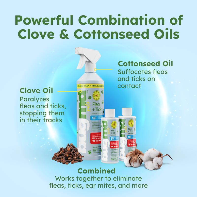 BugMD Flea and Tick Concentrate (3.7 oz, 2-Pack) – Natural Essential Oil Spray for Fleas, Ticks, and Mites in Pets, Safe for Dogs