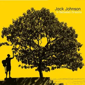Jack Johnson - In Between Dreams  [VINYL RECORD - LP]