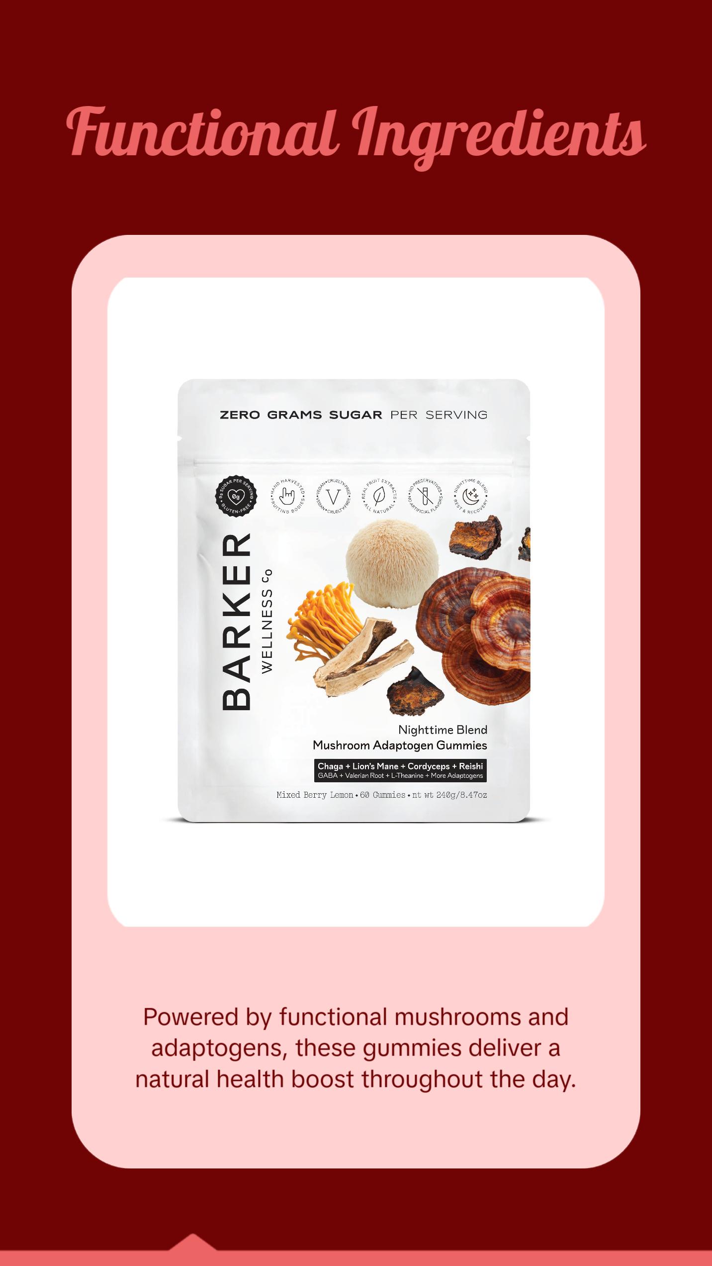 Day & Night Mushroom Adaptogen Duo Healthcare Natural Dietary Edible