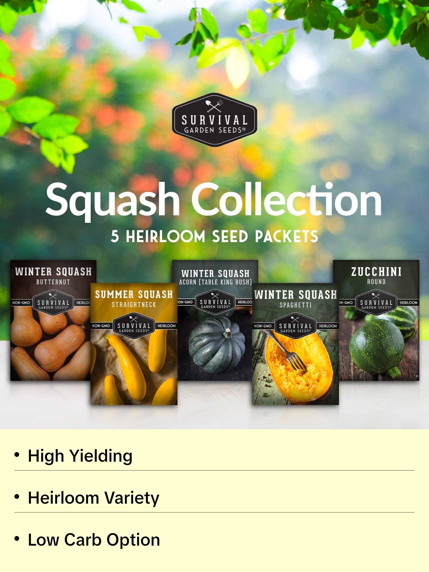 Survival Garden Seeds Squash Seed Collection - Winter & Summer Squash - 5 Non-GMO Heirloom Varieties for Planting - Round Zucchini, Straightneck Yellow, Spaghetti, Butternut, Acorn Squash - Easy to Grow - Compact & High Yields Survival Garden Seeds Squash Seed Collection - Winter & Summer Squash - 5 Non-GMO Heirloom Varieties for Planting - Round Zucchini, Straightneck Yellow, Spaghetti, Butternut, Acorn Squash - Easy to Grow - Compact & High Yields