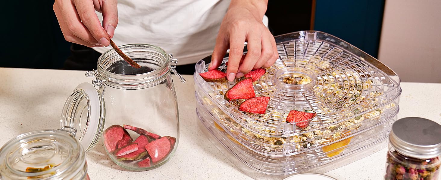 OSTBA Food Dehydrator Machine Adjustable Temperature & 72H Timer, 5-Tray Dehydrators for Food and Jerky, Fruit, Dog Treats, Herbs, Snacks, LED Display, 240W Electric Food Dryer, Recipe Book Appliances,low power consumption