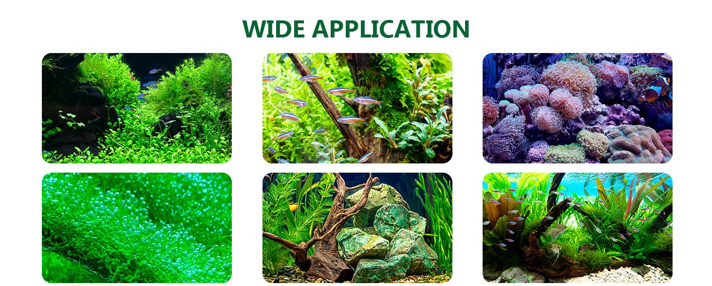 Aquarium Glue, Clear Coral Glue for Plants, Rocks, Moss, Coral, Stone, Wood - Quick Drying, Fish Safe, Freshwater & Saltwater Aquascaping