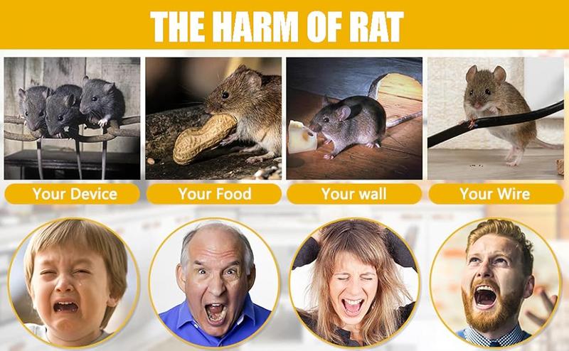 Bucket Mouse Traps Flip Lid 5 Gallon Auto Reset Reusable Humane Mice Rat Traps for Indoor Outdoor 3 Pack Pet Friendly Easy To Use Multi-Scene Application