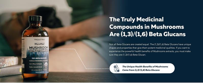 MycoMax Mushroom Complex - 70% Beta Glucans Healthcare Tea