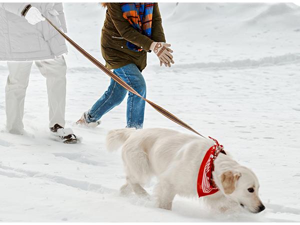 Gaiatop Portable Hand Warmers , Reusable Electric Pocket Heater with Flashlight & Wrist Lanyard, 3-Temp Modes, USB-C Rechargeable , Great for Outdoors, Commuting – Stocking Stuffer for Men Women Convenience Activities Cold Weather   Valentine's Day gift