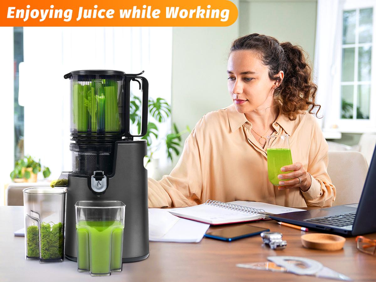 LQZ 350W Cold Press Juicer - Slow Masticating, 4.3&5.4 Inch Feed Chute, High Juice Yield, Easy Clean, 55rpm Technology for Whole Fruits & Veggies
