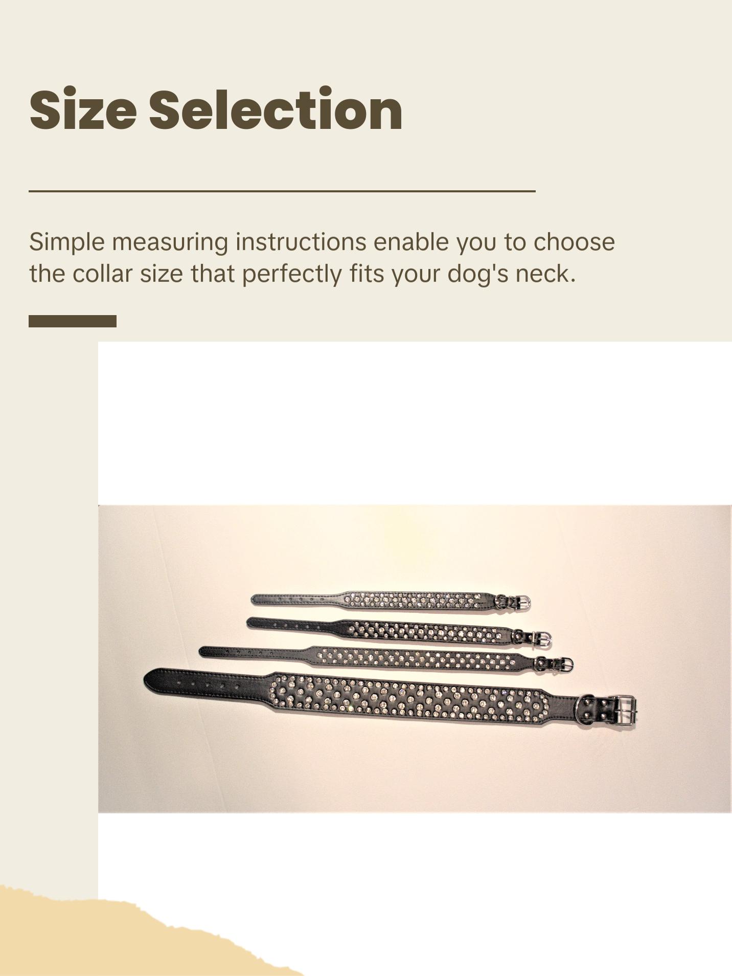 Black Bling Dog Collar