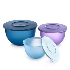 Tupperware Impressions Classic Bowl Set