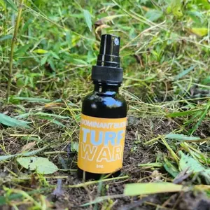 Deer Pimp TURF WAR Real Dominate Buck Urine Spray for Attracting Bucks and Creating Mock Scrapes