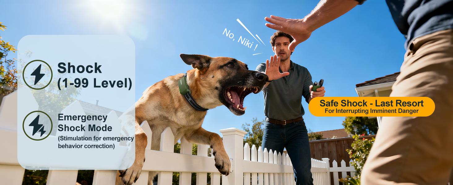 JUGBOW Dog Training Collar 4500FT Dog Training Behavior Aid, Remote IPX8 Waterproof with 4 Training Modes, Outdoor Rechargeable E-Collar DT61 JUGBOW Dog Training Collar 4500FT Dog Training Behavior Aid, Remote IPX8 Waterproof with 4 Training Modes, Outdoor Rechargeable E-Collar DT61