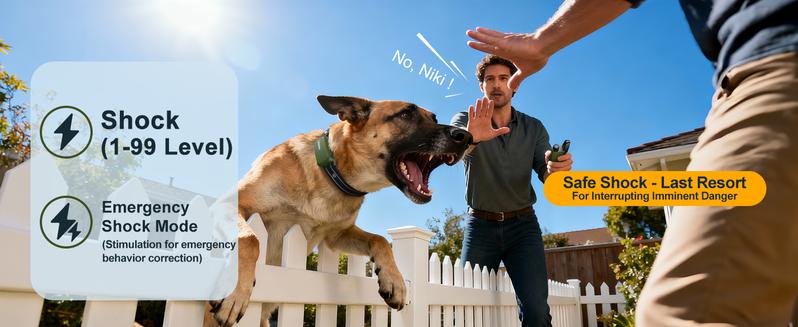 JUGBOW Dog Training Collar 4500FT Dog Training Behavior Aid, Remote IPX8 Waterproof with 4 Training Modes, Outdoor Rechargeable E-Collar DT61