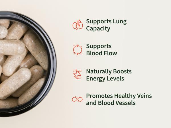 Snap Supplements - Nitric Oxide Booster - Support Healthy Blood Circulation - Nitric Oxide Supplement for Men and Women - 3rd party tested - 60 count