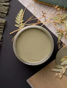 Thicket  - Dixie Belle Chalk Mineral Paint